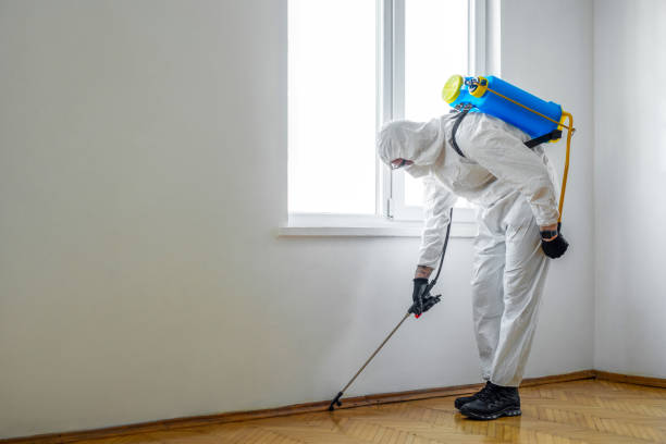 Real Estate Pest Inspections in Valley Mills, TX